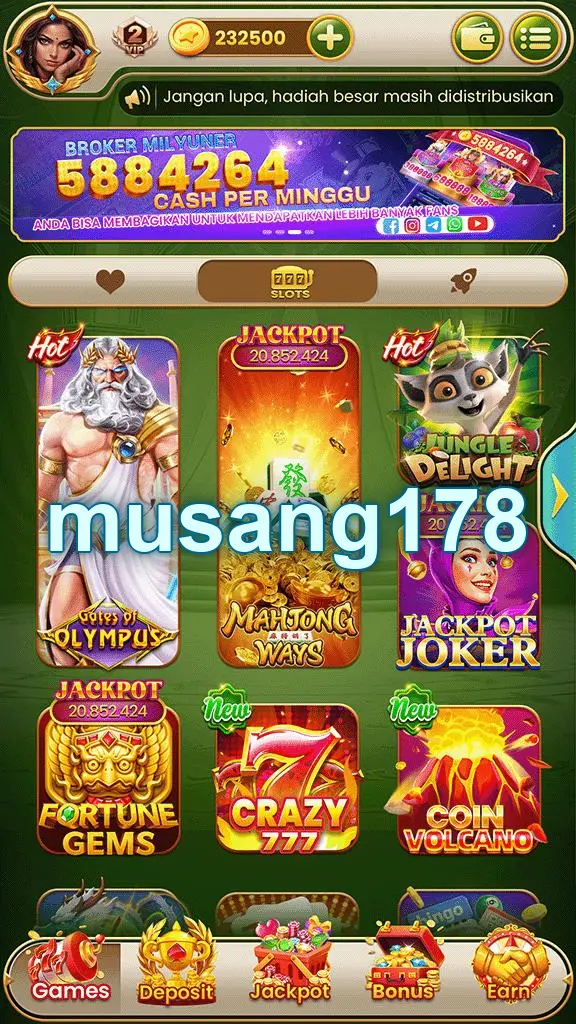musang178 Masuk